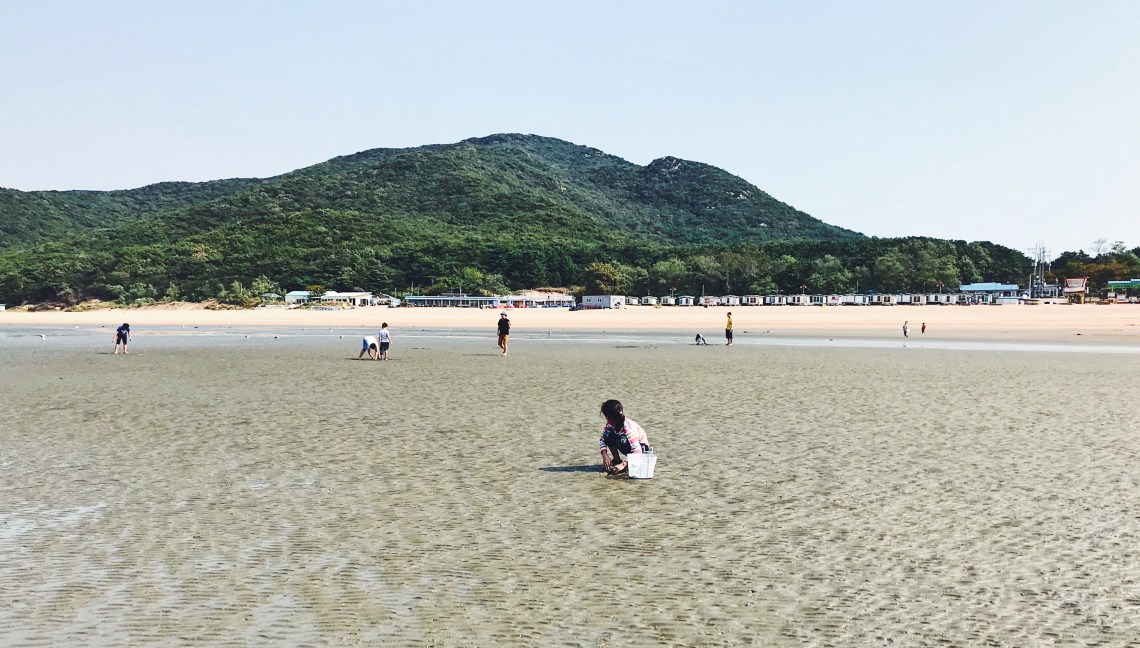 Korean children gathering clams on the beach